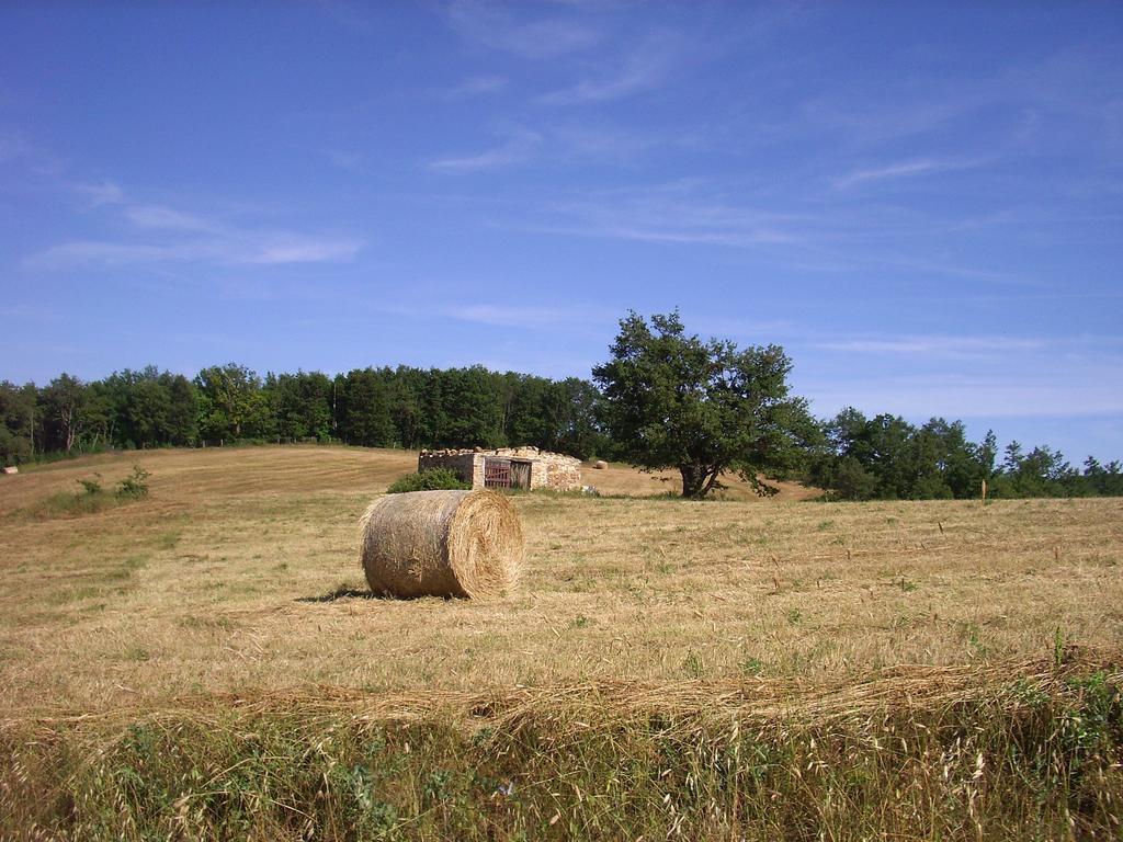 Agriturismo Bio Le Macchie Alte Manciano Dış mekan fotoğraf